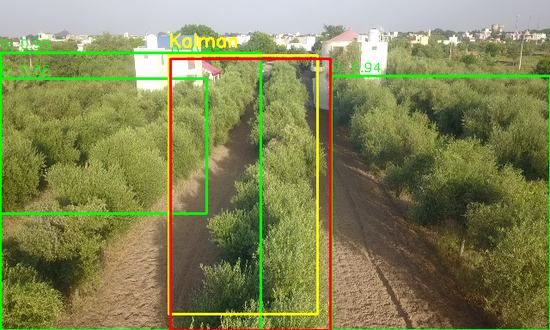 Path Planning of Low-Altitude UAV for Tree Canopy Tracking and Orchard Monitoring